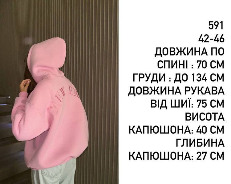 Об'ємне худі з вишивкою | Турецька тринитка на флісі мод.591 фото